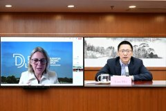 廖岷与英国财政部国际金融事务总司长怀特举行视频通话